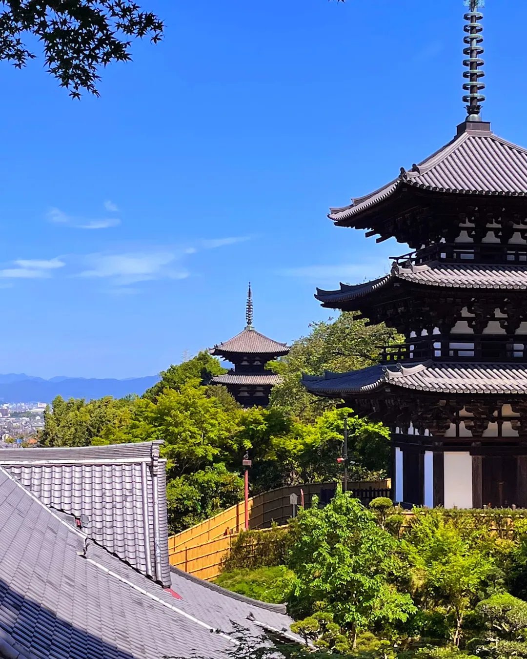 🏯 다이마데라 (當麻寺) 이미지 6